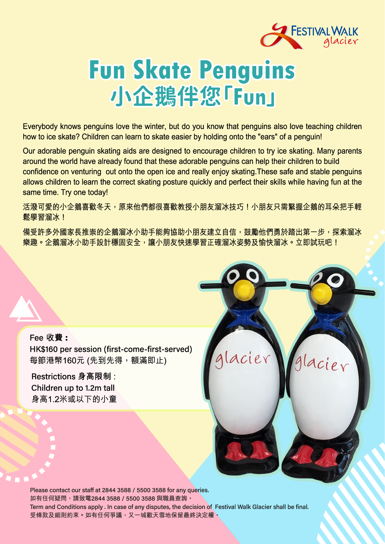 Penguin _Tentcard_2024-01.jpg